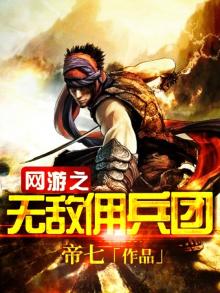 网游之佣兵世界 小说