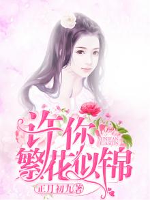 许你繁花似锦全文免费阅读曲佳佳
