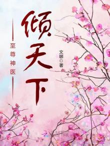 至尊神医小说