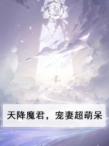 天降魔妃:腹黑魔君不好惹