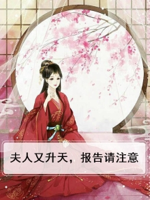 夫人又上天了