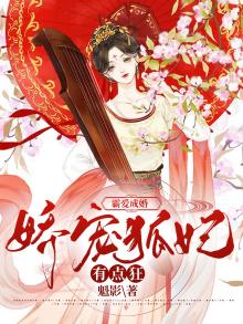 霸宠娇夫 小说
