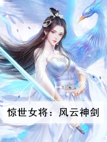 惊世女将:风云神剑