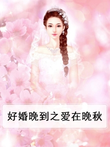 好婚晚来 小说
