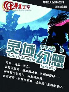 灵域ol