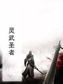 灵武圣皇 小说