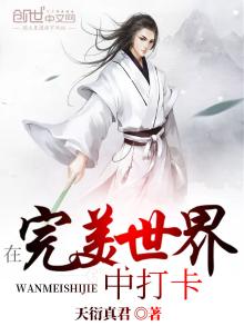 在完美世界中打卡起点
