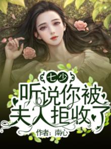 七少,听说你被夫人拒收了 小说