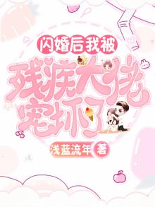 闪婚残疾老公