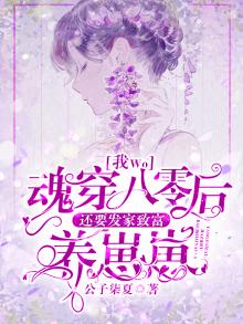 我魂穿八零后还要发家致富养崽崽 公子柒夏