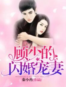 顾少的闪婚甜妻全文免费阅读