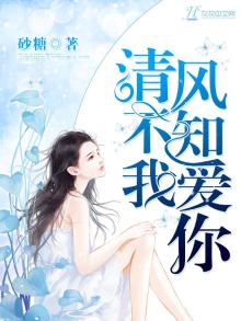 清风不知我爱你免费阅读
