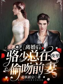 洛少离婚吧全文免费阅读