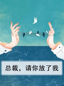 总裁放了我项擎北