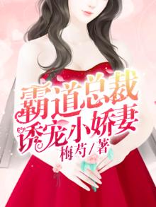 霸道总裁小娇妻小说动画