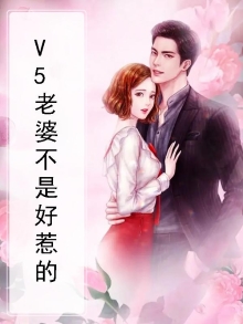 老婆不好惹百度云