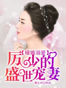 暖婚溺爱,厉少的盛世宠妻电视剧