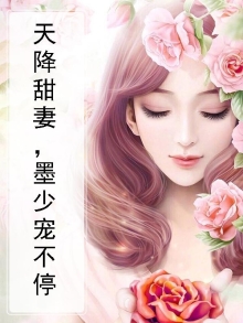百度小说天降酷宝墨少喜当爹