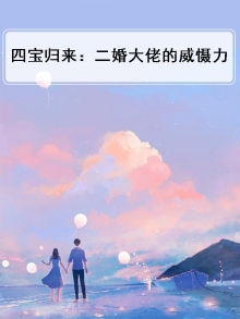 四宝局长全文免费阅读