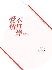 爱情不打烊免费观看完整版全集