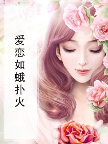 爱如飞蛾扑火歌词