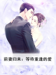 前妻归来:等待重逢的爱小说