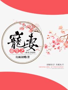 重生之宠妻为上