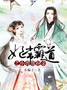 妃常小说