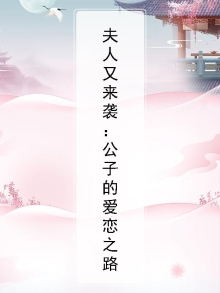 夫人又来袭:公子的爱恋之路小说