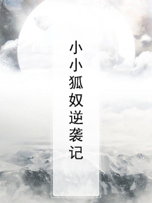米小小逆袭记小说
