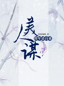 美人将军小说
