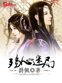 心殇无解小说