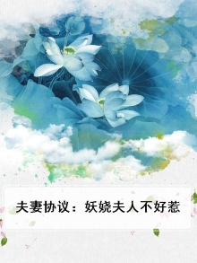夫妻缠小说圣妖