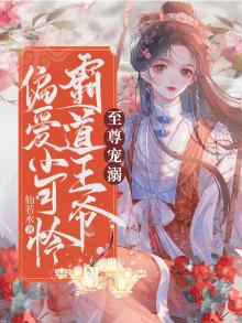 霸道王爷专宠妻