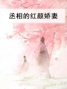 娇妻红颜小说