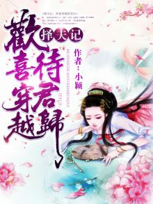 择夫记小说