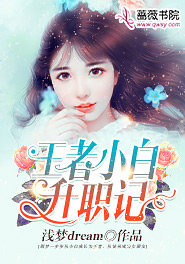 小白升职记游戏
