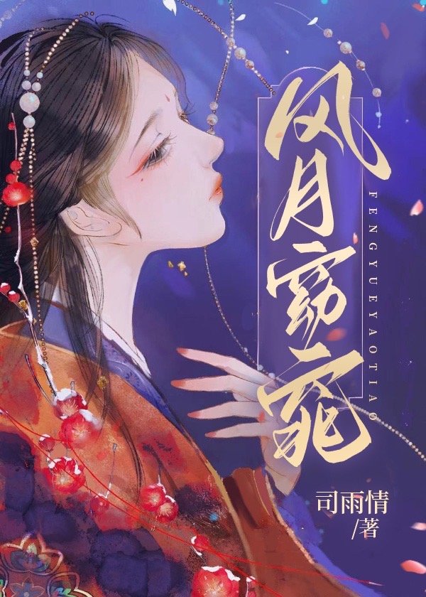 风月窈窕小说讲的什么