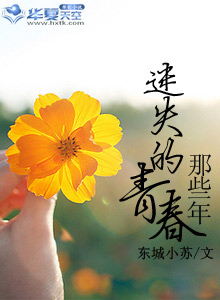 那些年迷失的青春小说