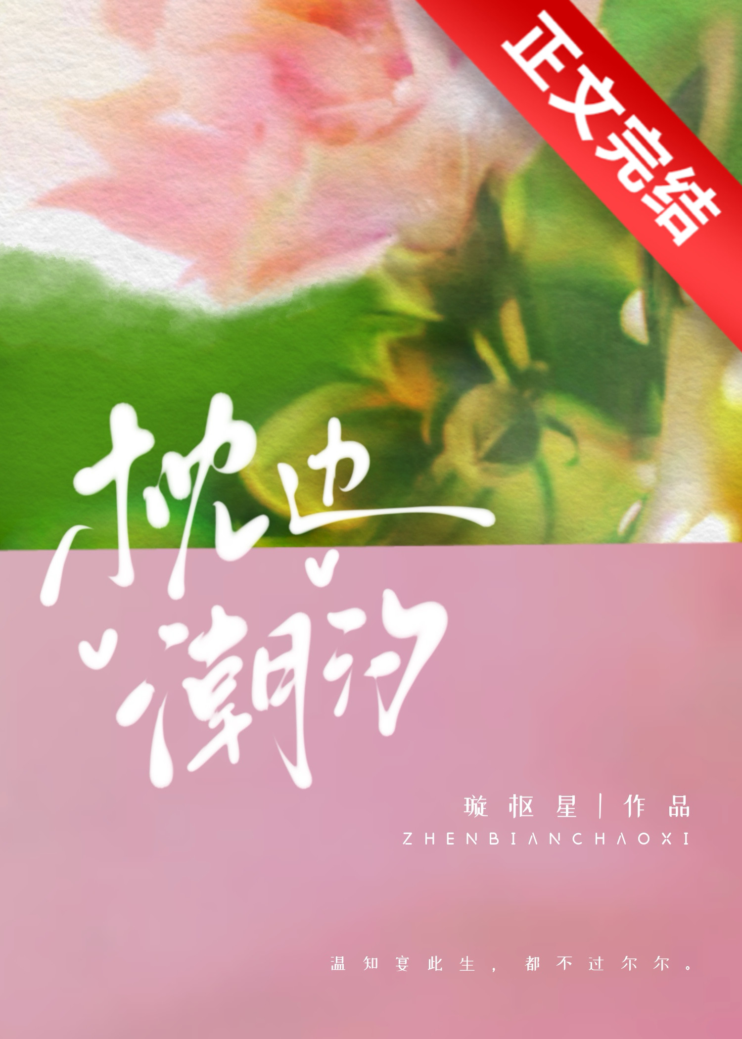 枕边潮汐璇枢星小说免费阅读