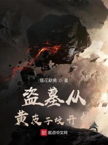 盗墓从青