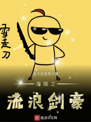 海贼之流浪之主