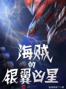 海贼的银翼凶星书友推荐