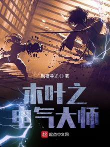 木叶之风暴之主TXT下载网盘
