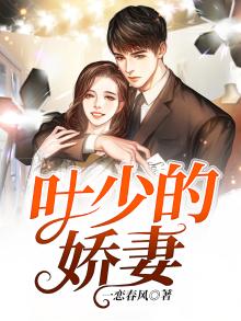 叶少宠妻请低调无弹窗