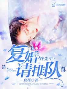 许先生,复婚请排队免费阅读