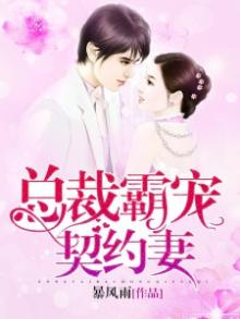 陆先生的甜婚指南免费阅读