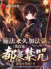 施法永久加法强,我技能都是禁咒 作者