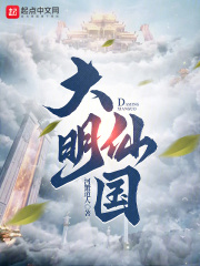 大明仙师小说