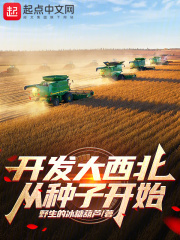 开发大西北的最新政策